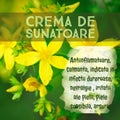 herbal natural label for home made cream - SUNATOARE