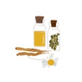 Herbal natural medicine icons, organic chamomile therapy vector illustration isolated on white. Royalty Free Stock Photo