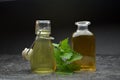 Herbal natural tincture Royalty Free Stock Photo