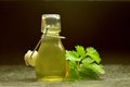 Herbal natural tincture Royalty Free Stock Photo