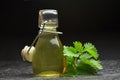 Herbal natural tincture Royalty Free Stock Photo