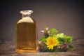 Herbal natural tincture Royalty Free Stock Photo