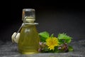 Herbal natural tincture Royalty Free Stock Photo