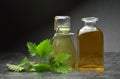 Herbal natural tincture Royalty Free Stock Photo