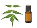 Herbal neem oil concept