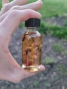 Herbal oil blend bottle glass magick witchcraft