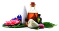 Herbal oil bottles Royalty Free Stock Photo