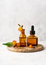 Herbal oil (tincture, remedy, infusion) in glass bottles with fresh flowers. Spa or Herbal medicine concept. Royalty Free Stock Photo