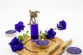 Herbal oils, candle aromatherapy extract purple flowers butterfly pea for health care Royalty Free Stock Photo