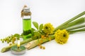 Herbal oils, candle extract lemongrass aromatherapy for health care Royalty Free Stock Photo