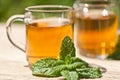 Herbal peppermint tea closeup macro outdoor summer Royalty Free Stock Photo