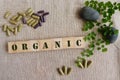 Organic herbal medicine Royalty Free Stock Photo