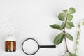 Herbal pills in glass bottle, magnifying glass and green plant leaves on white background Royalty Free Stock Photo