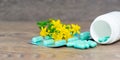 Herbal pills with open plastic bottle and yellow flowers Royalty Free Stock Photo