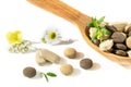 Herbal pills in a wooden spoon with fresh herbs and flowers for alternative medicine Royalty Free Stock Photo