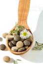 Herbal pills in a wooden spoon with fresh herbs and flowers for alternative medicine Royalty Free Stock Photo