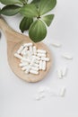 Herbal pills in wooden spoon and green plant on white background Royalty Free Stock Photo