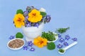 Herbal Plant Medicine for Cold and Flu Remedy Royalty Free Stock Photo