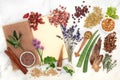 Herbal Plant Medicine Preparation with Herbs and Flowers Royalty Free Stock Photo