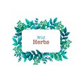 Herbal pre-made composition. Horizontal frame with leaves and branches. Summer wild herbs with space for your text