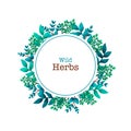 Herbal pre-made composition. Round wreath with leaves and branches. Summer wild herbs with space for your text. Healing