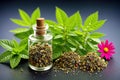 Herbal Remedies in a Glass Bottle Royalty Free Stock Photo