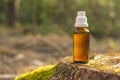 herbal remedy.natural pharmacy.homeopathic remedies. Alternative medicine.Herbal tincture in a glass bottle on a stump Royalty Free Stock Photo