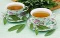 Herbal sage tea served in teacups with fresh leavea of herb