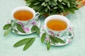 Herbal sage tea  served in teacups with fresh leavea of herb Royalty Free Stock Photo