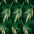 Herbal seamless background