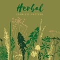 Herbal seamless pattern. Botanical border. Vector grass background. Royalty Free Stock Photo