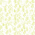 Herbal seamless pattern.