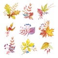 Herbal set of autumn composition. Watercolor painted bouquet, branches and leaves on white background