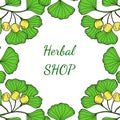 Herbal shop ginkgo in color