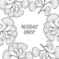 Herbal shop ginkgo