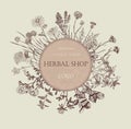 Herbal shop logo. Hand drawn design.