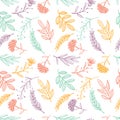 Herbal sketch, detox. Seamless pattern colorful design