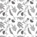 Herbal sketch, detox. Seamless pattern design