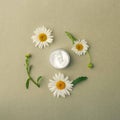 Herbal spa cosmetic cream with camomile flowers hygienic skincare lotion product wellness and relaxation makeup mask in glass jar