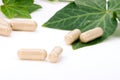 Herbal supplements Royalty Free Stock Photo