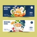 Herbal tea banner design with chamomile, Roselle, sage watercolor illustration Royalty Free Stock Photo