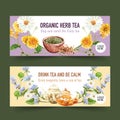 Herbal tea banner design with tea pot, chamomile, marigold watercolor illustration