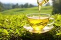 Herbal tea being poured into a clear glass cup on a tranquil green meadow, surrounded by nature