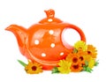 Herbal tea and calendula flowers Royalty Free Stock Photo