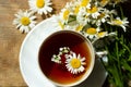 herbal tea with chamomile on old wooden table. Top view Royalty Free Stock Photo