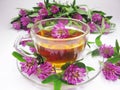 Herbal tea with clover extract Royalty Free Stock Photo