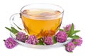 Herbal tea and clover flowers isolated Royalty Free Stock Photo