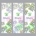 Herbal tea collection. Bilberry banner set Royalty Free Stock Photo