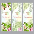Herbal tea collection. Five-flavor berry banner set