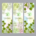 Herbal tea collection. Linden banner set. Royalty Free Stock Photo